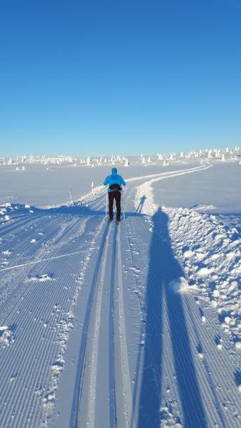 Skitur på Golsfjellet